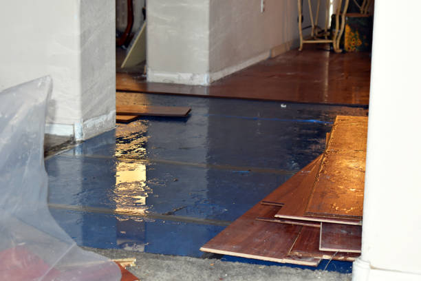 Professional Water Extraction technician working in Shade, OH